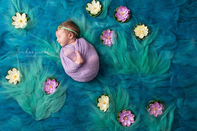 Lindsay Walden newborn photography