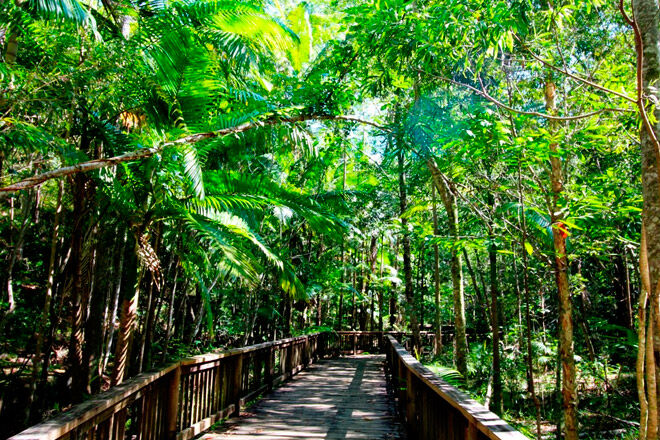 Queensland bush walk pram