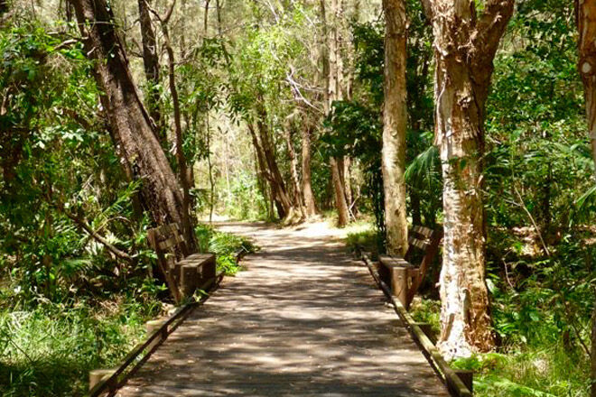 Brisbane bush walk pram