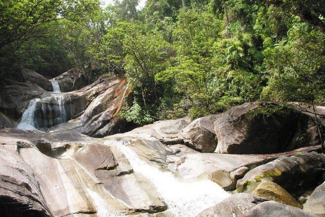 Wooroonooran National Park bush walk