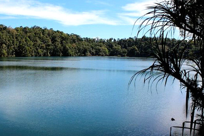 Queensland bush walk pram