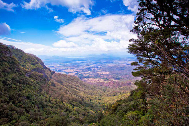 Queensland bush walk pram