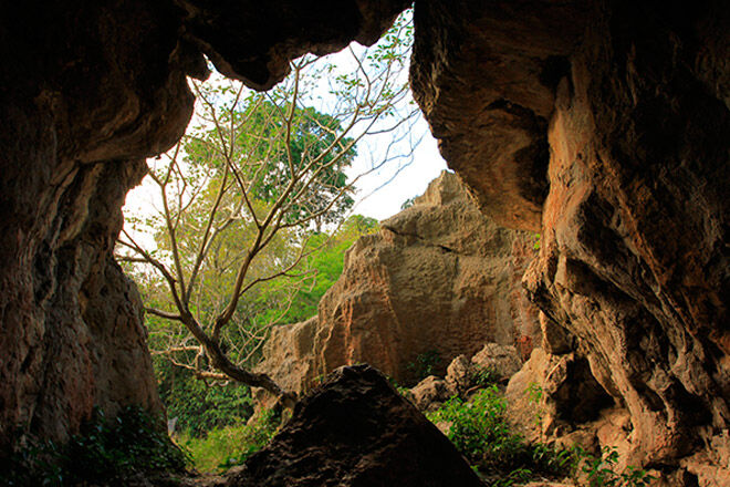 Queensland bush walk pram