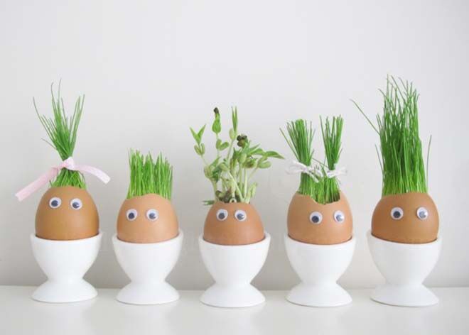 Eggshell planting. Earth Day activities with your kids.