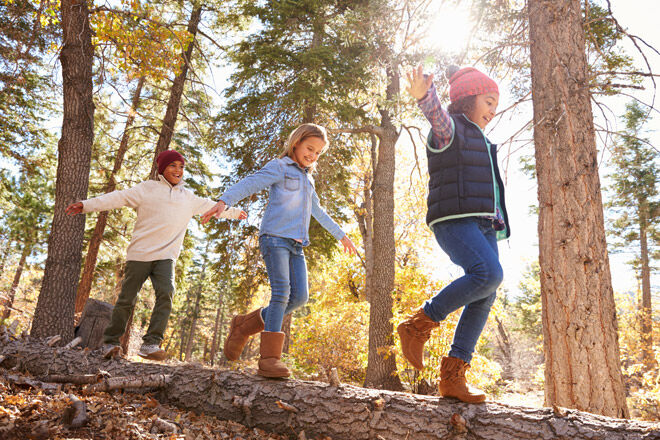 nature-play-balance-on-log