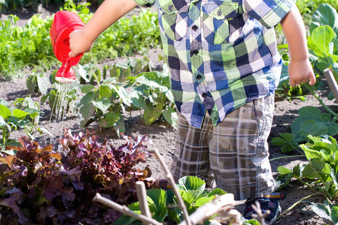 nature-play-watering-garden