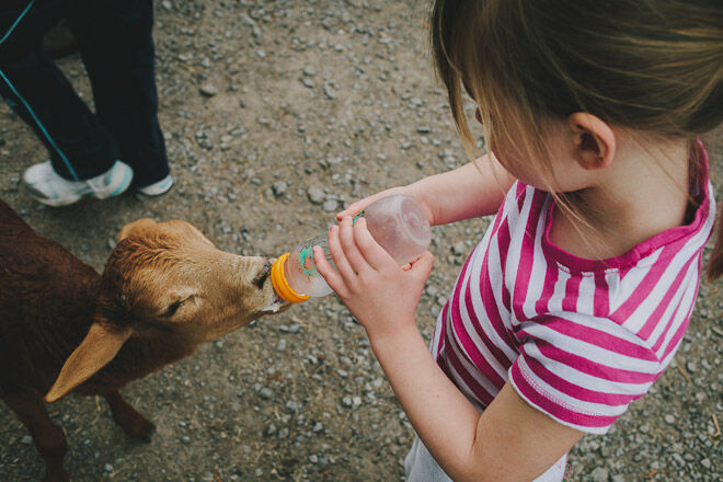 Queensland kids farm animals