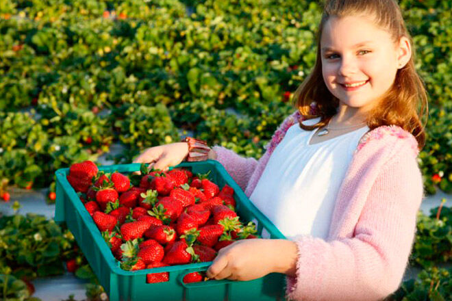 Queensland kids fruit farm