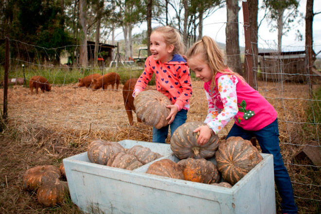 Queensland kids farm animals