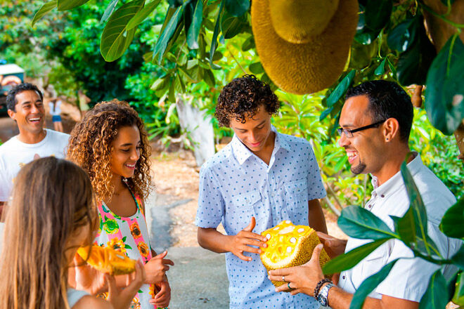 NSW kids fruit farm