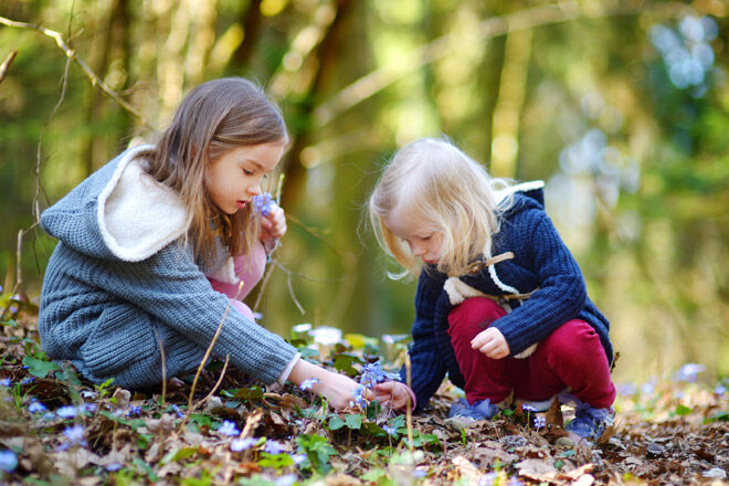 Nature-play-girls-picking-flowers