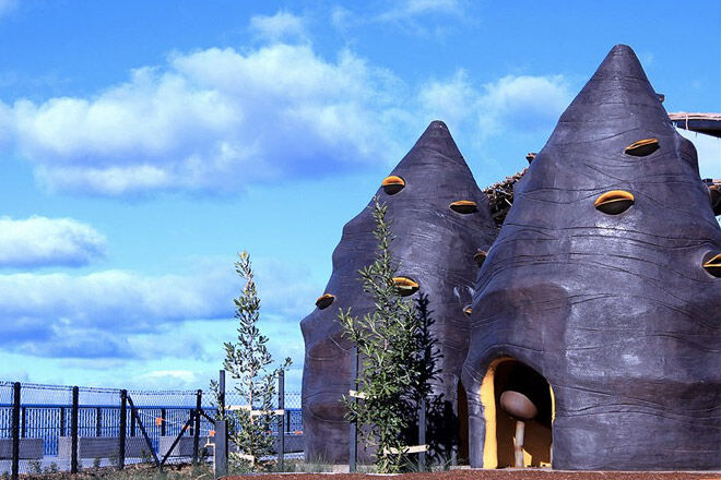 Pod-playground-banksia-cones