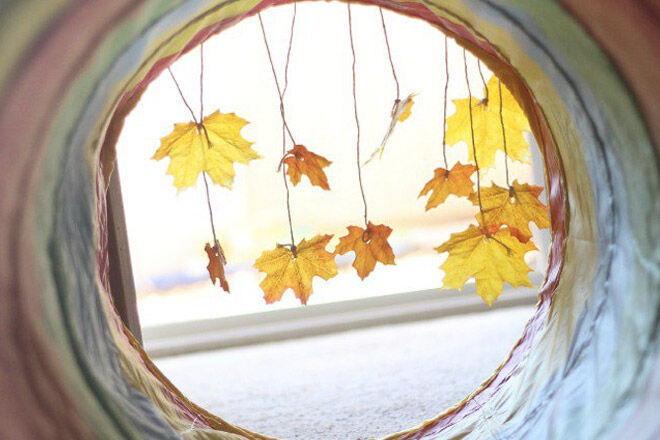 autumn-activities-possible-header