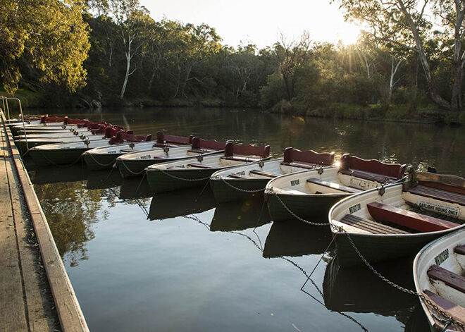 Take your kids out on a row boat. Places to take boat lovers in Melbourne.