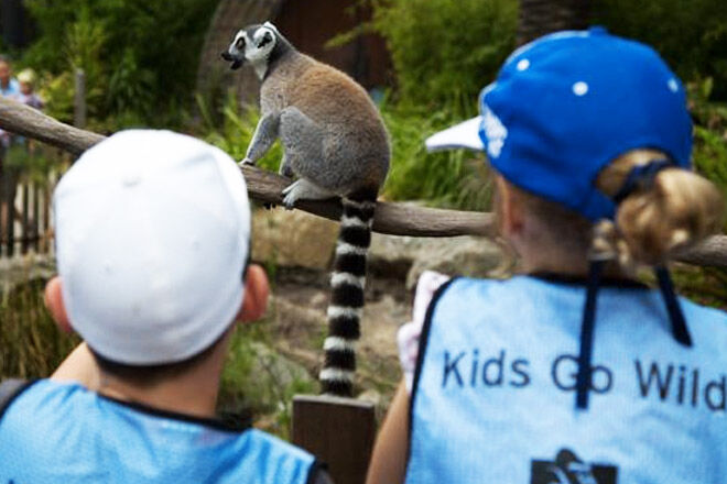 Melbourne-zoo-kids-go-wild