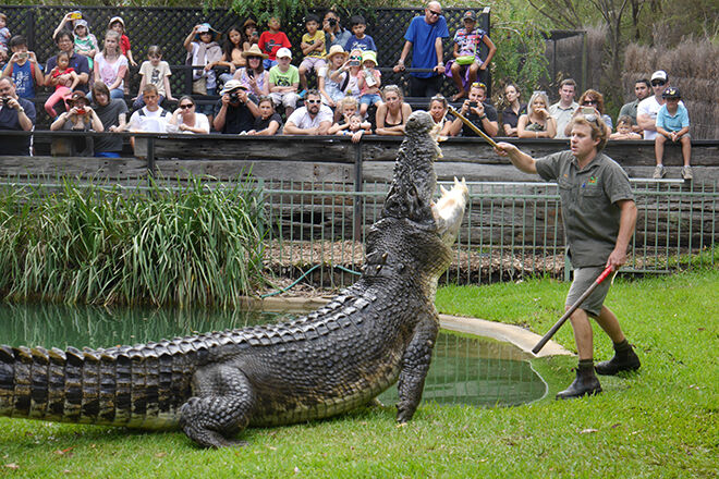 Australian Reptile Park -Zoos and Sanctuaries in NSW