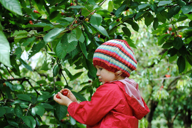 vic food farm fruit kid grow produce