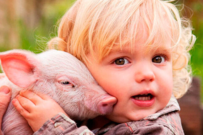 Rain Hayne & Shine cuddling piglets