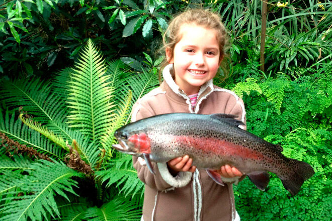 victoria kid fish catch bush tucker Aboriginal