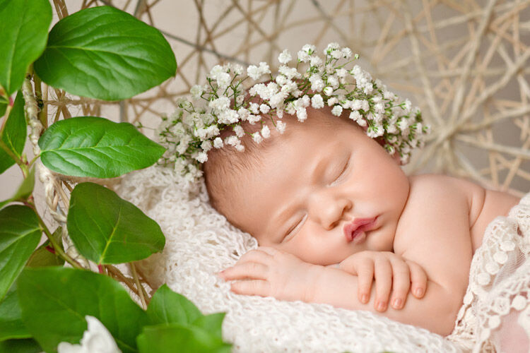 Gorgeous baby asleep in flowers