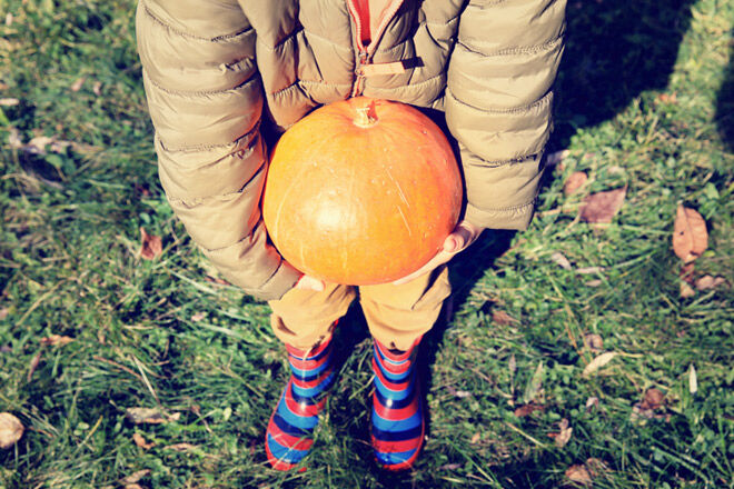 Farms near melbourne kids pumpkins