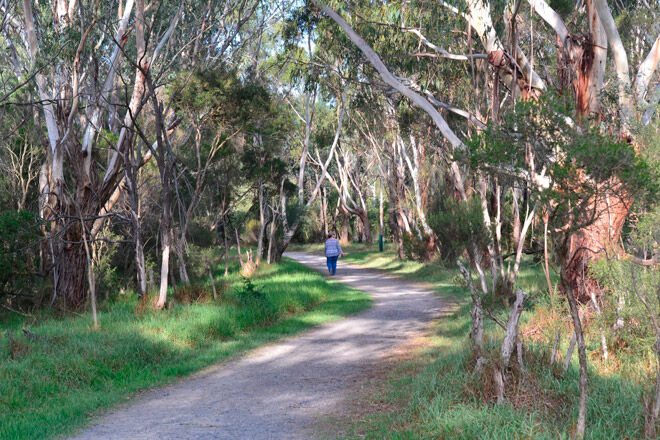 conservation trail victoria melbourne bush walk baby pram