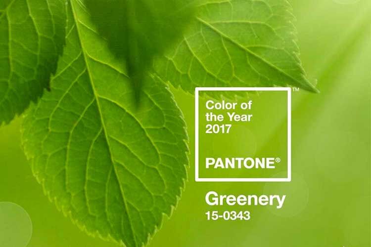 pantone 2017 colour of the year- greenery