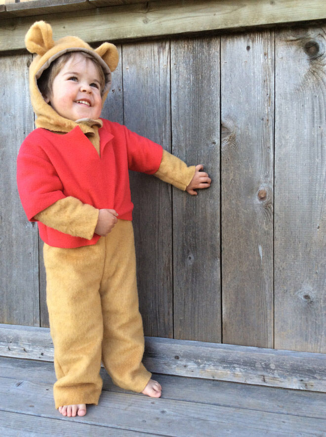 winnie the pooh dress up costume