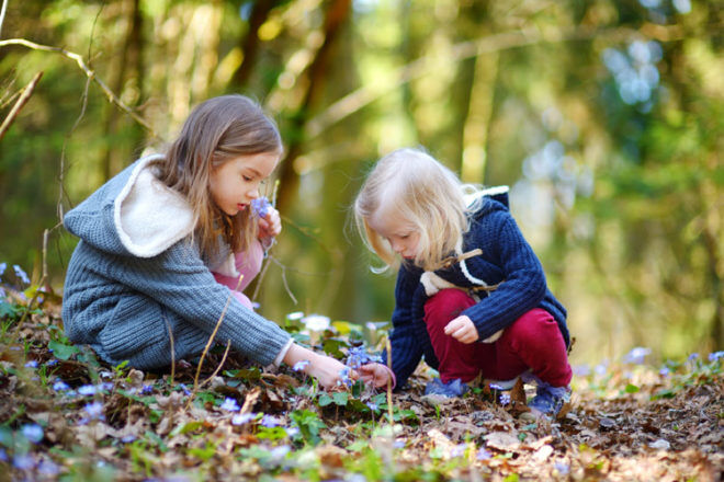 autumn nature collecting kids