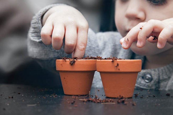 toddler planting seedling things to do outdoors in autumn with kids