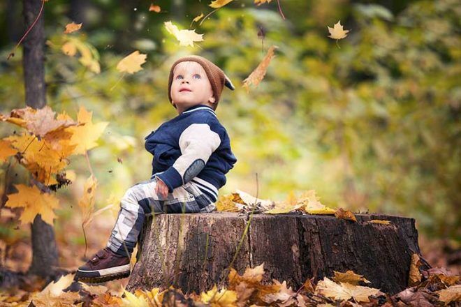 toddler outdoors autumn leaves