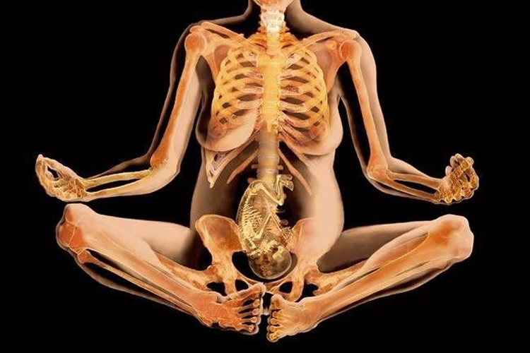 Xray of pregnant body