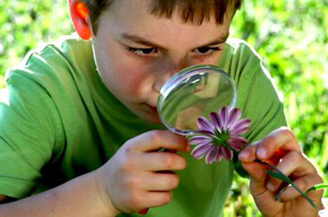 Boy looking at flower through a magnifying glass
