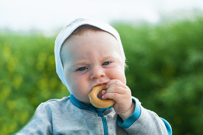 baby eating a biscuit