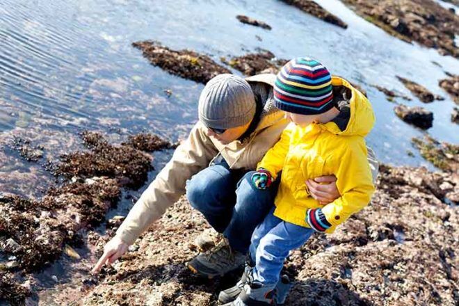 best places for rockpooling in Australia with kids