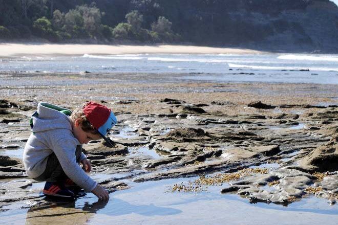 best places to go rockpooling n Australia with kids