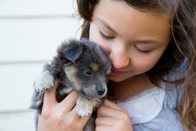 why children should have a dog
