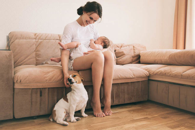 top tips for introducing a newborn baby to the family pet