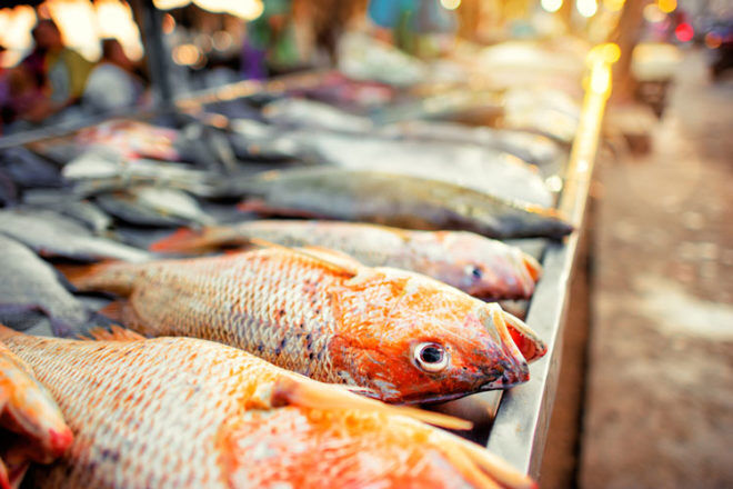 Fresh fish at market - pregnancy food aversions