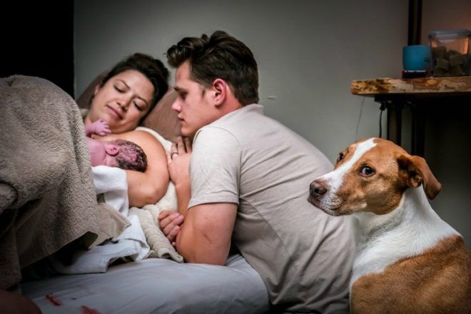 dog watching as mother and father cuddle baby