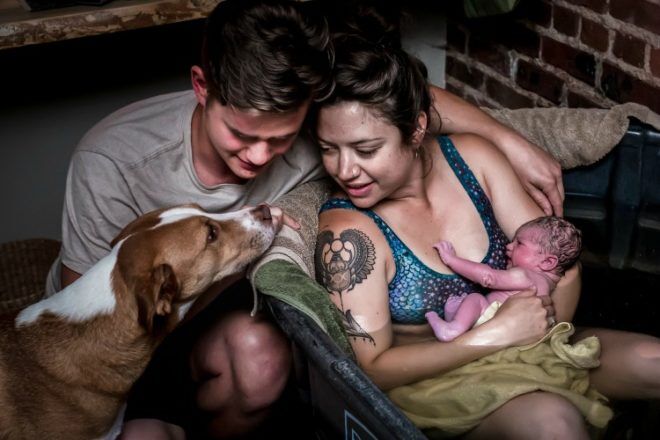 dog meeting newborn with mother and father