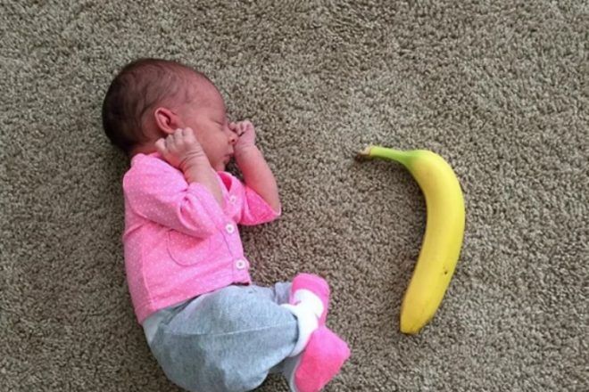 wee baby vs banana by Here We Go AJen