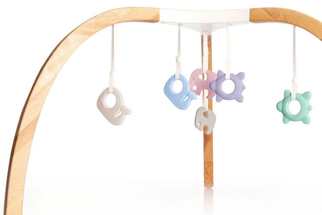 Mioplay activity gym