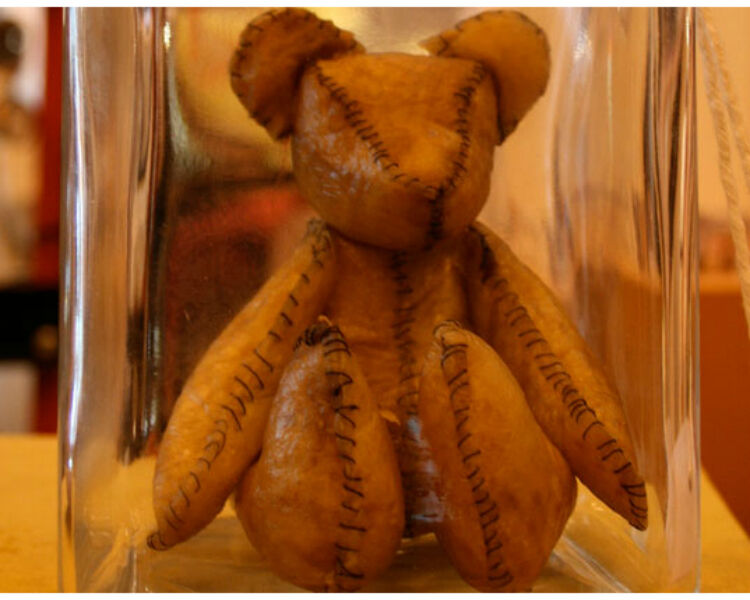 Teddy bear with skin made from dried placenta