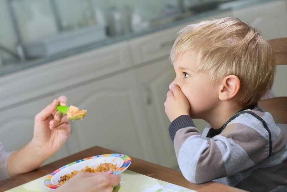 fussy child food plate toddler si