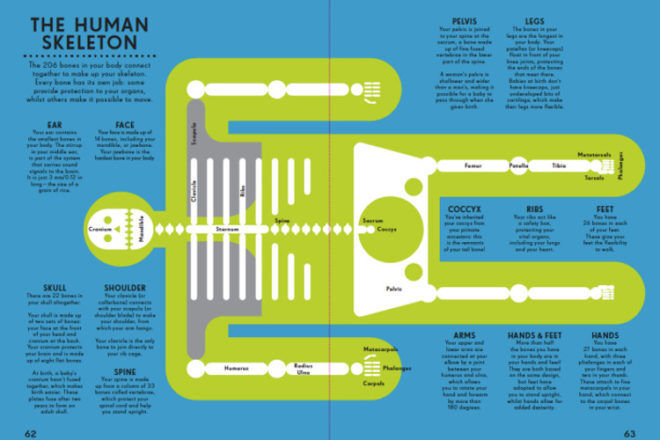Infographics Human Body book by Peter Grundy