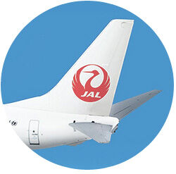 Japan Airways Tail Wing