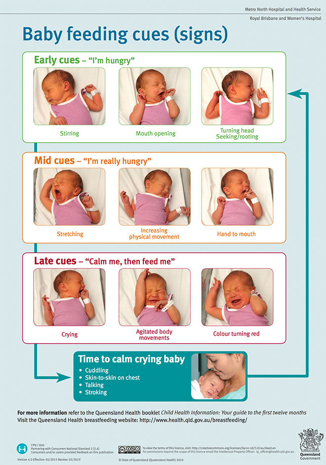 A visual guide to understanding a baby's hunger signs