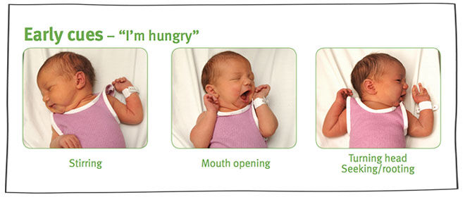 A visual guide to understanding a baby's hunger signs