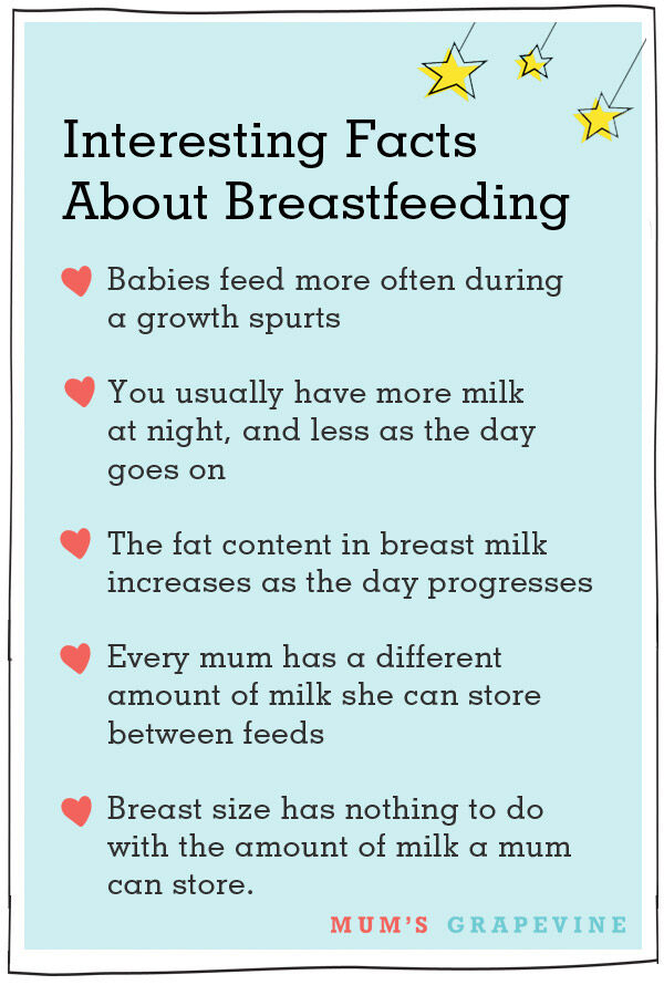 Interesting breastfeeding facts pullout